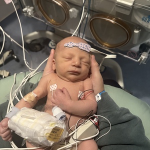 Team Page: In Memory of Sutton